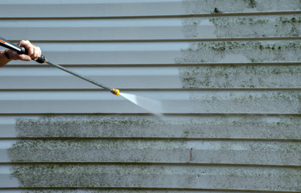 Best Affordable Mold Removal  in Barberton, WA