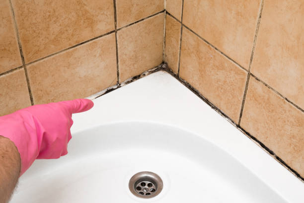 Best Water Damage Restoration  in Barberton, WA